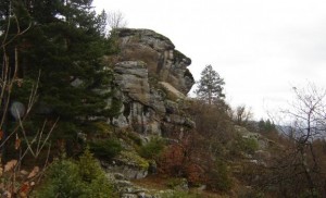 Култура