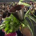 първи клас, първолаци, начало на учебната година, откриване на учебната година, 15 септември, 15.09