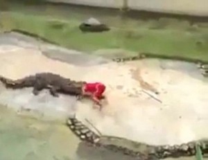 Цирк Настроение