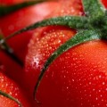 домат, домати, зеленчуци