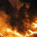 пожар в гора, горски пожар
