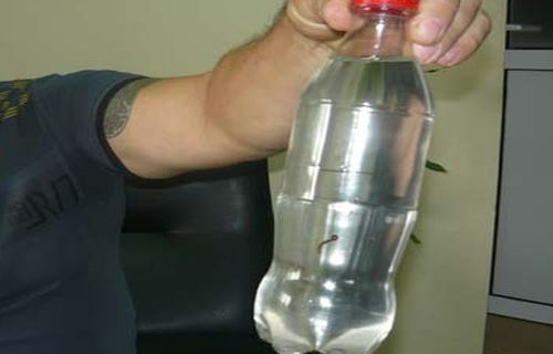 вода с червеи