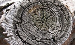 Пинокио Настроение