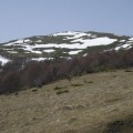 Черни връх, планина