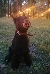 Любопитно
