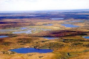 Любопитно